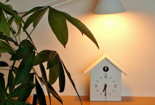 Muji cuckoo clock large size - cuckoo,
